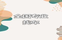 全国专业找车